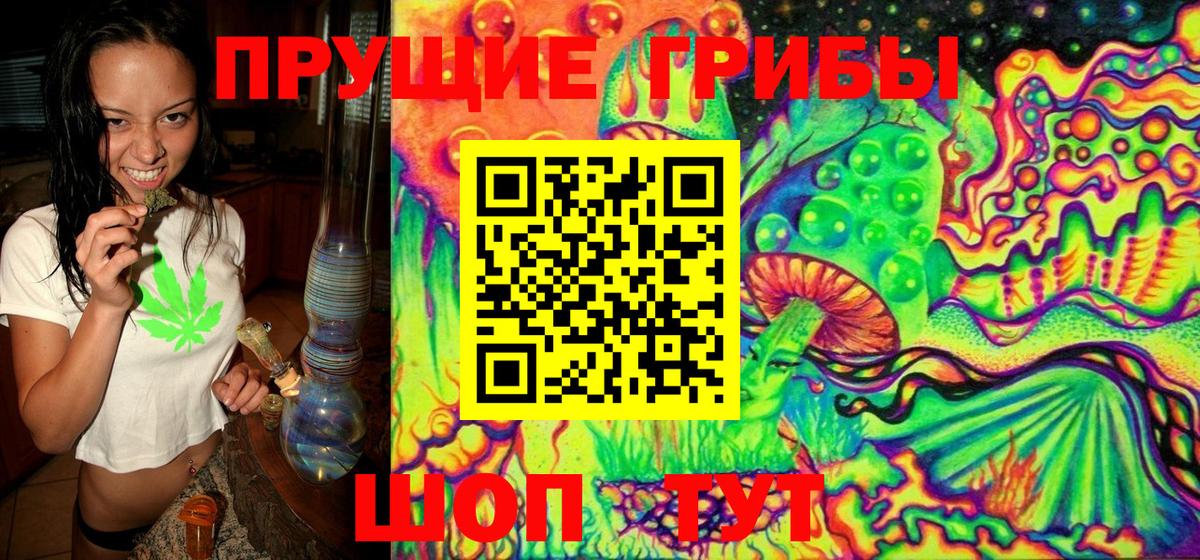 Бирск  Галлюциногенные грибы Magic Shrooms  магазин продажи   Вход с VPN 
